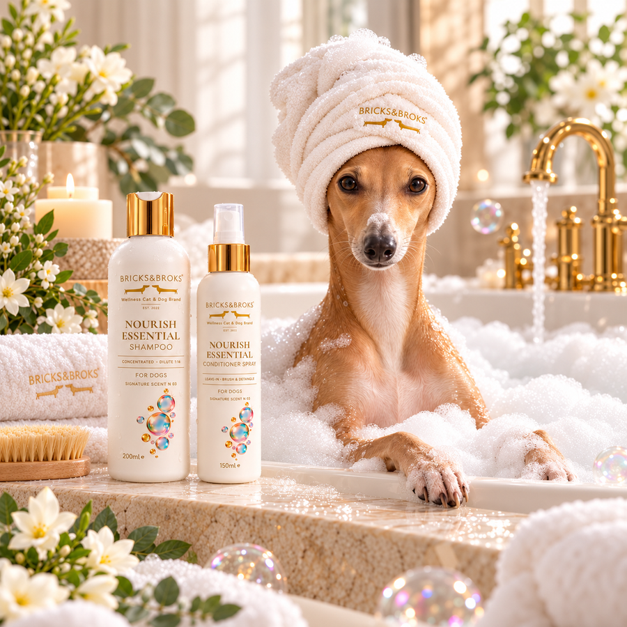 Shampoo for dogs & cats