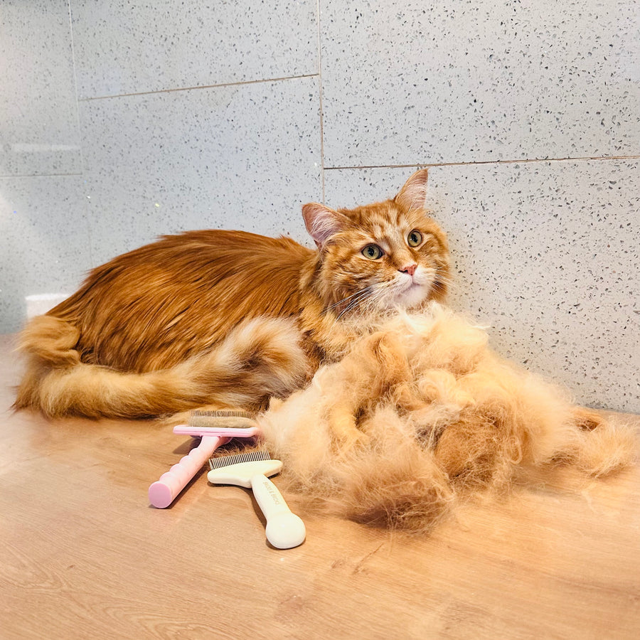 Coat Care Set