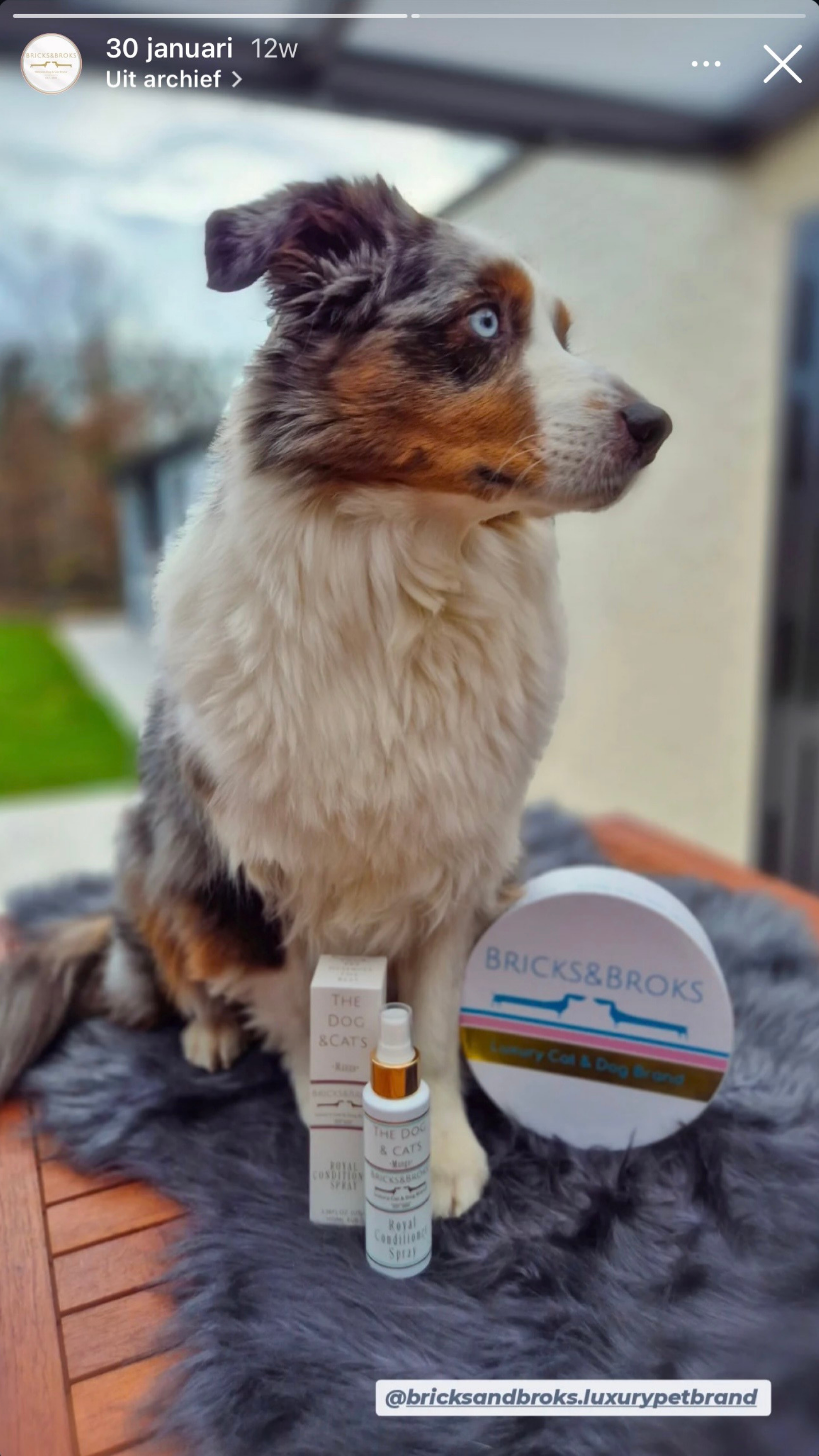 Bricks&Broks wellness momentje