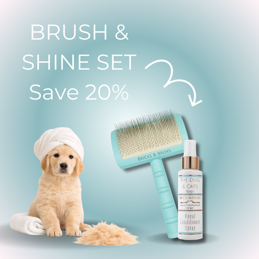Brush & Shine Set