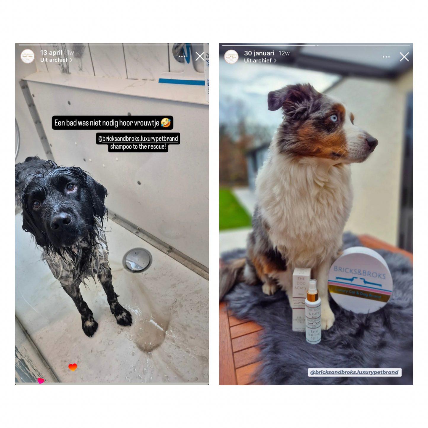 Conditioner spray voor hond & kat