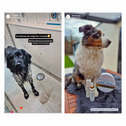 Conditioner spray voor hond & kat