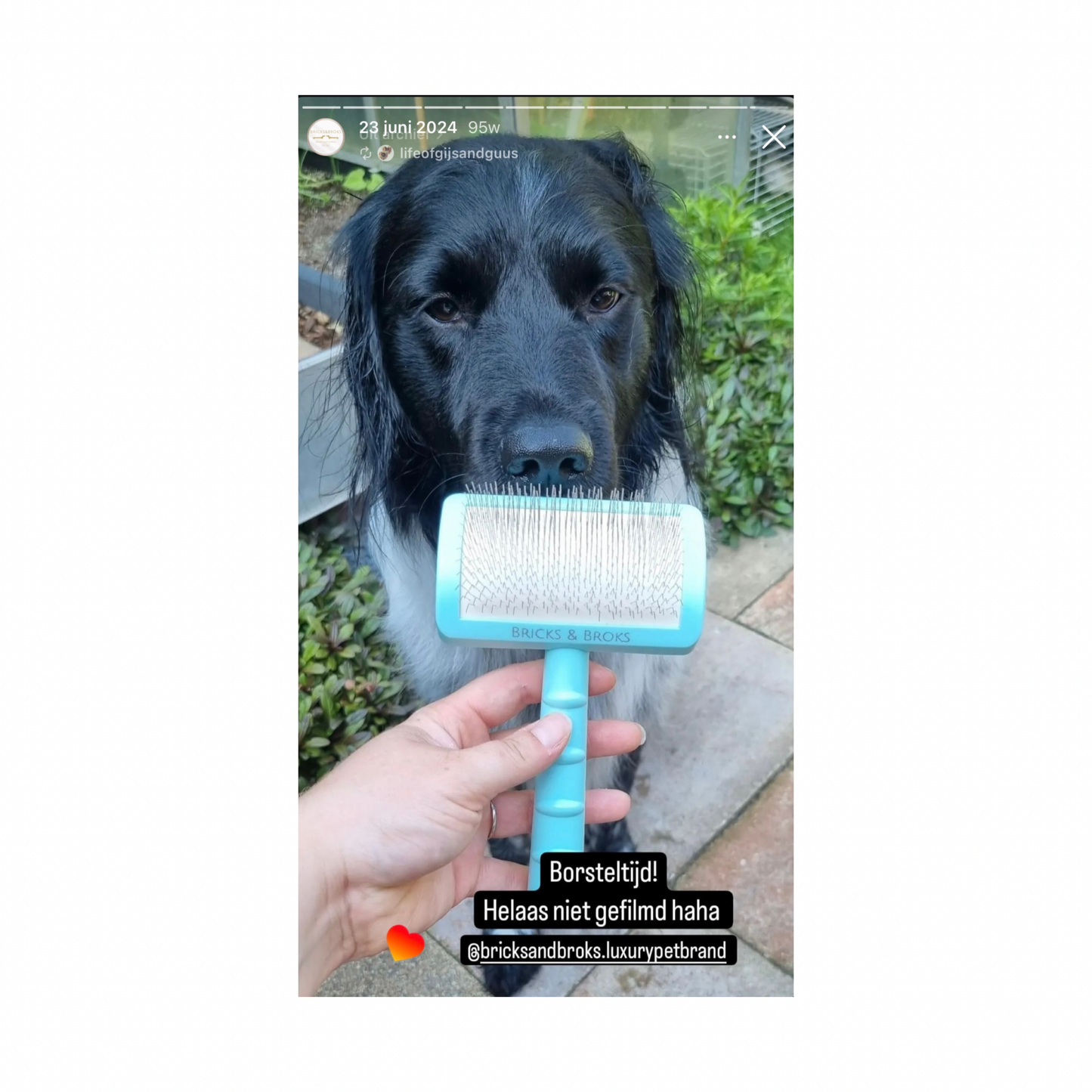 The Essential Brush | 18mm