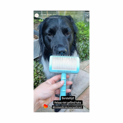 The Essential Brush | 18mm
