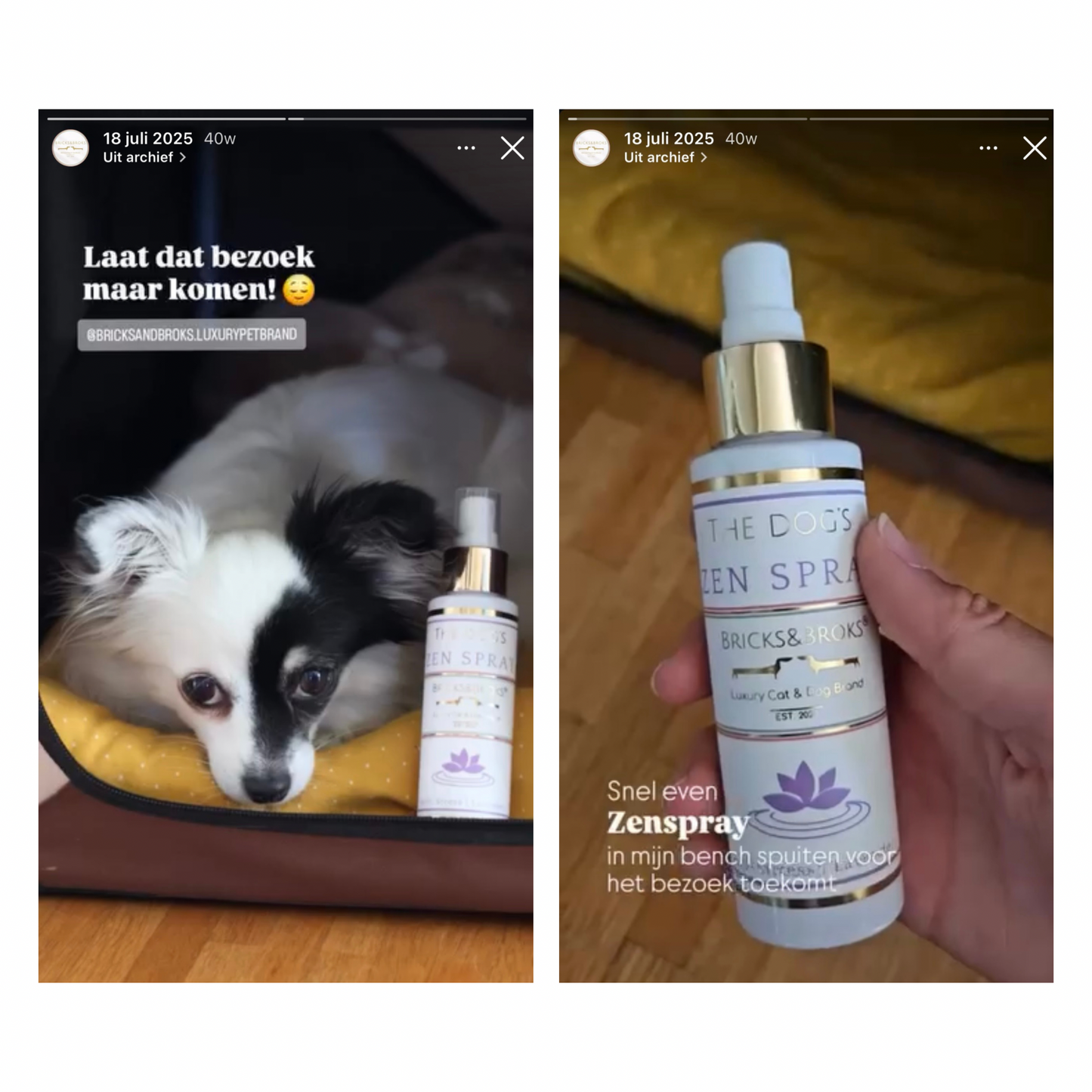De Zen Spray Voor Honden