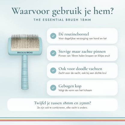 The Essential Brush | 18mm