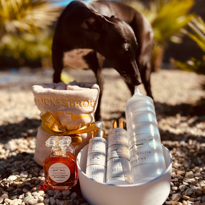 Ultimate Grooming Set