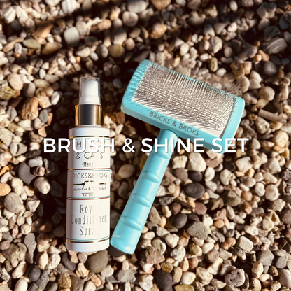 Brush & Shine Set