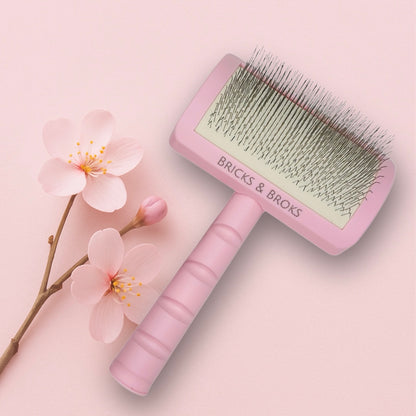 Brush & Shine Set