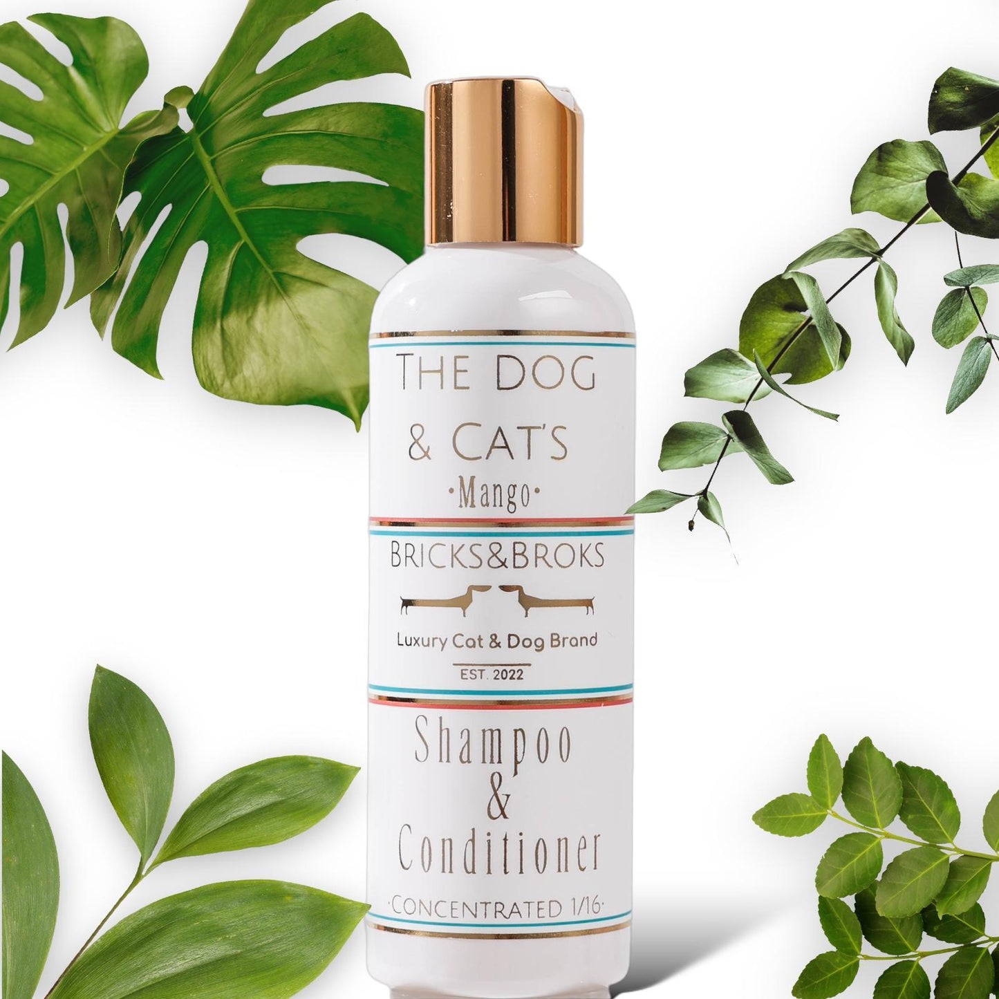 Shampoo voor hond & kat