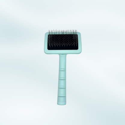The Essential Mini Brush