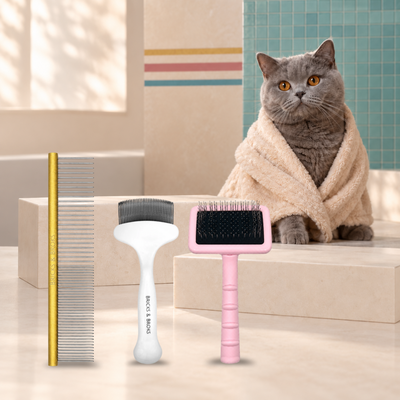 Purrfect Coat Set