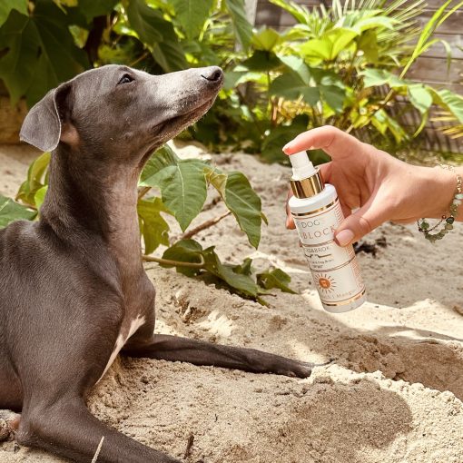 Zonnebrandcrème voor honden